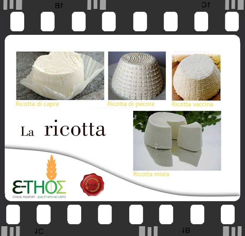 ricotta